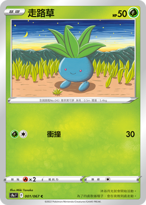 走路草