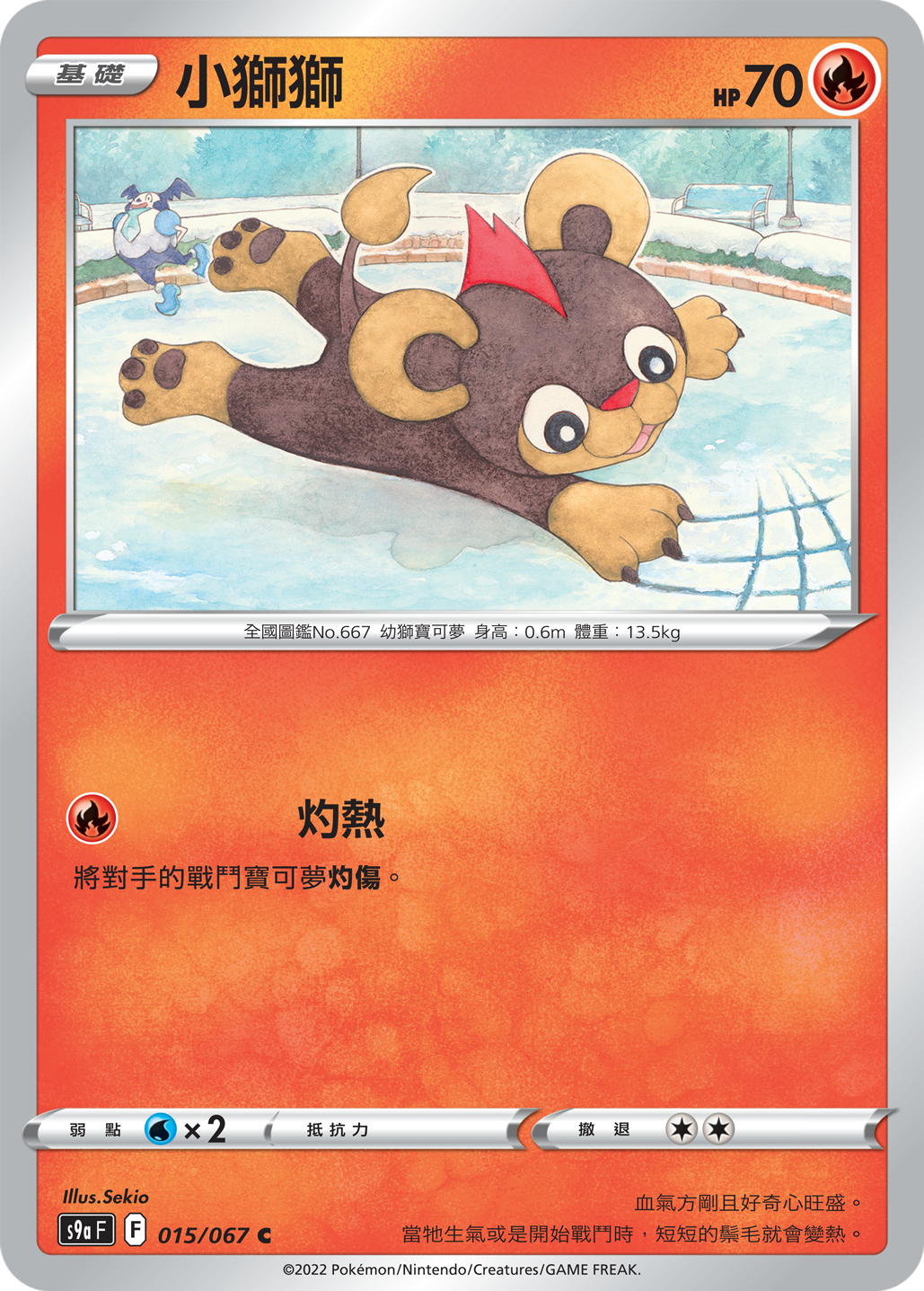 小狮狮