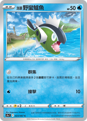 洗翠 野蛮鲈鱼