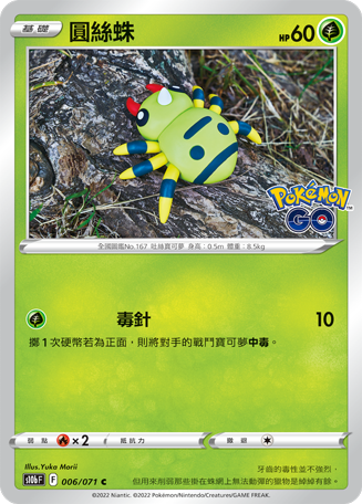 圆丝蛛