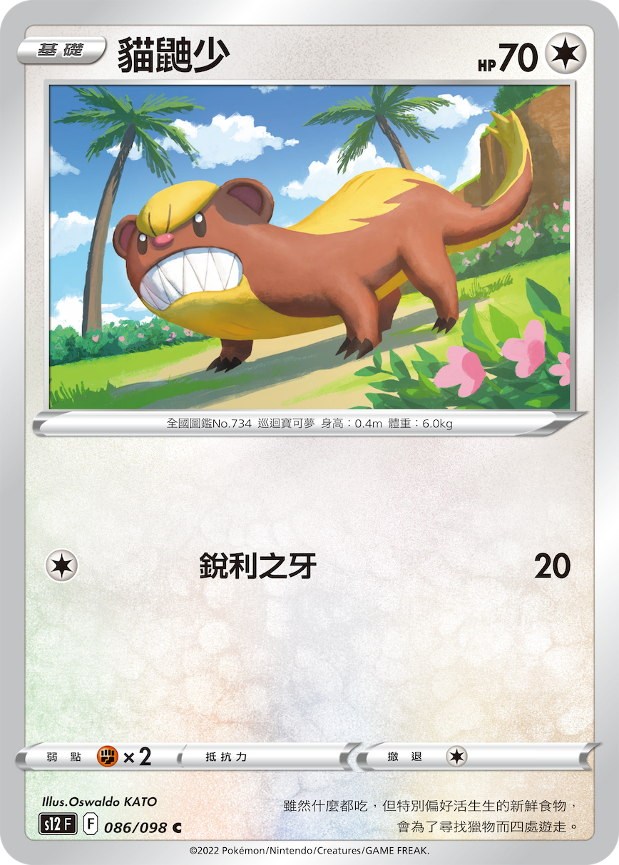 猫鼬少