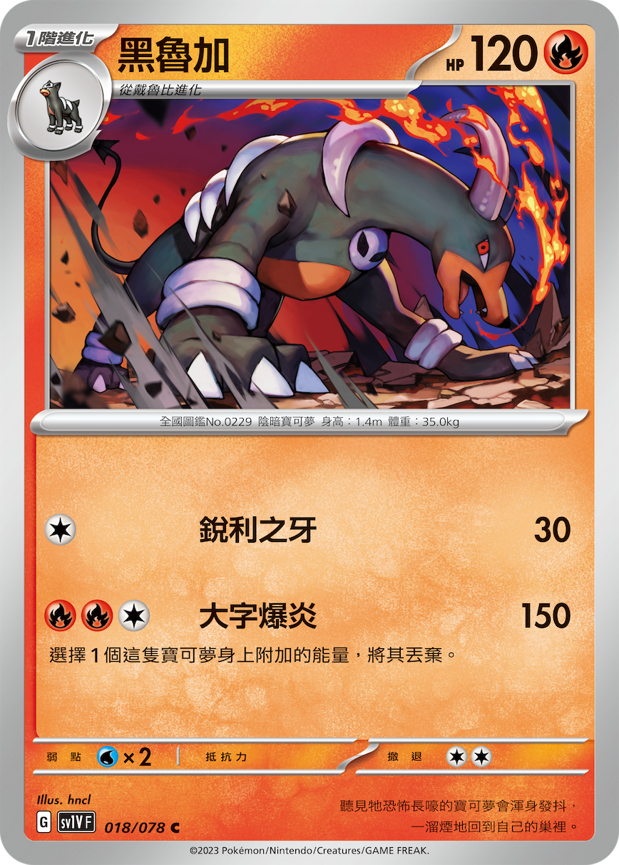 黑鲁加