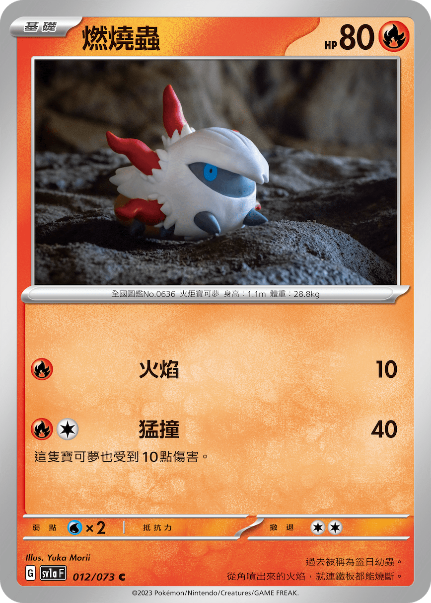燃烧虫