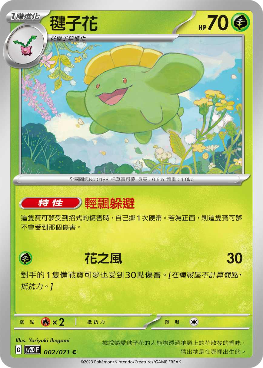 毽子花