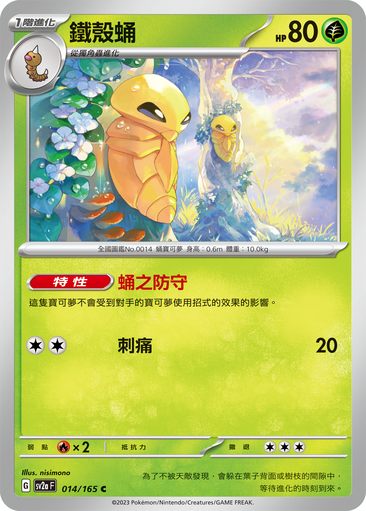铁壳蛹
