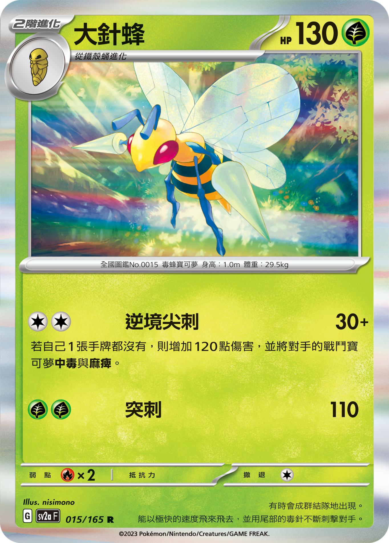 大针蜂