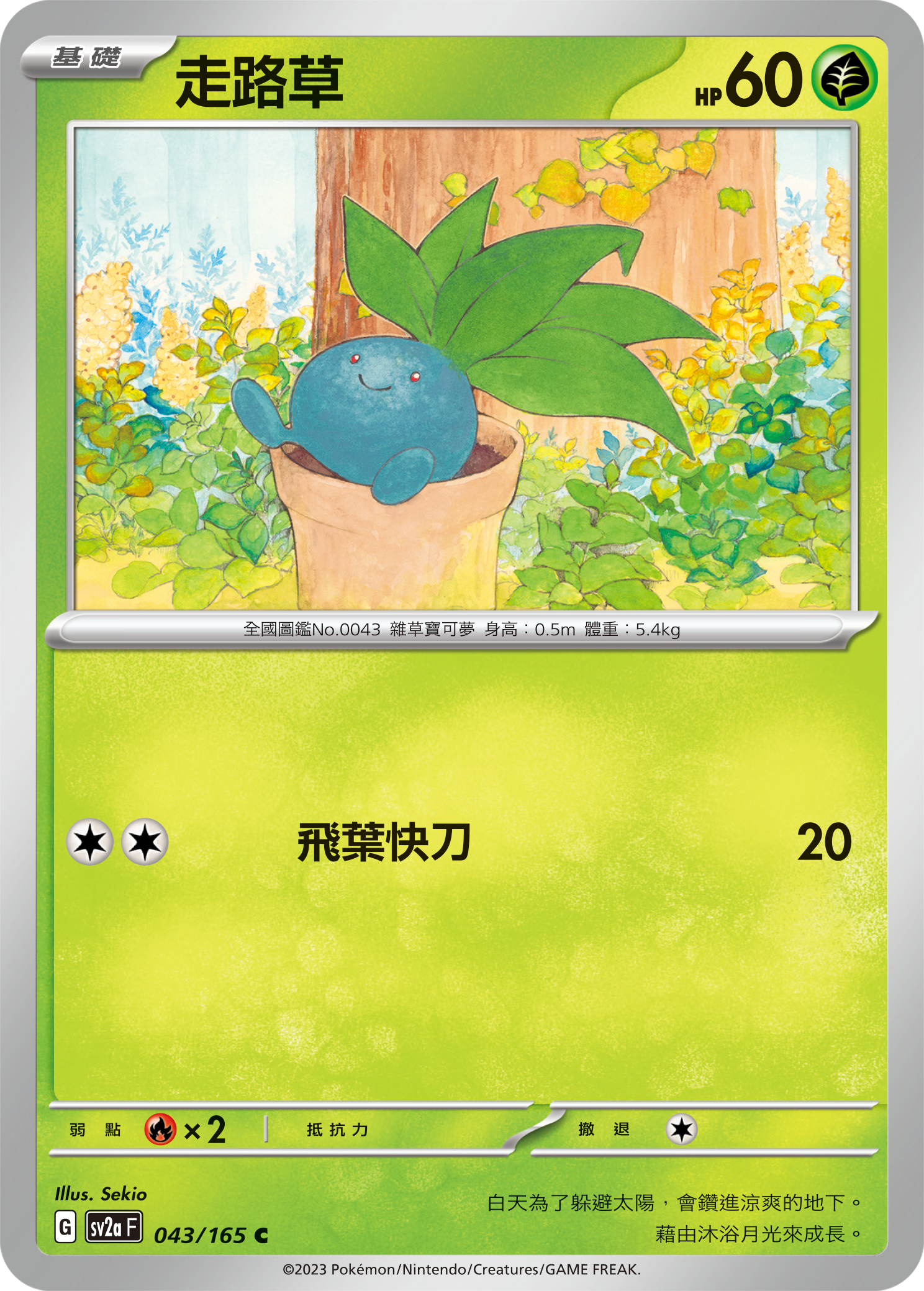 走路草