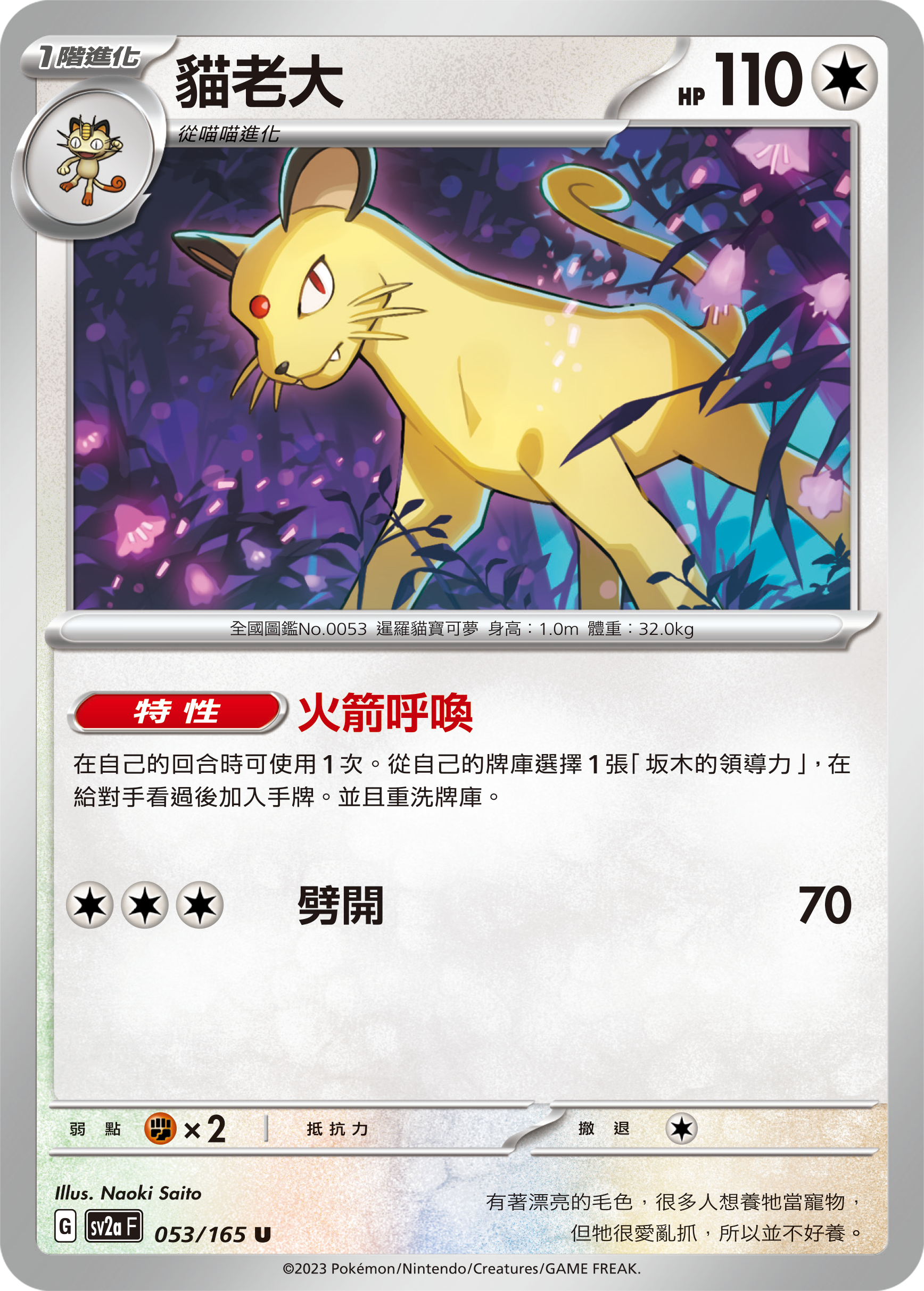 猫老大