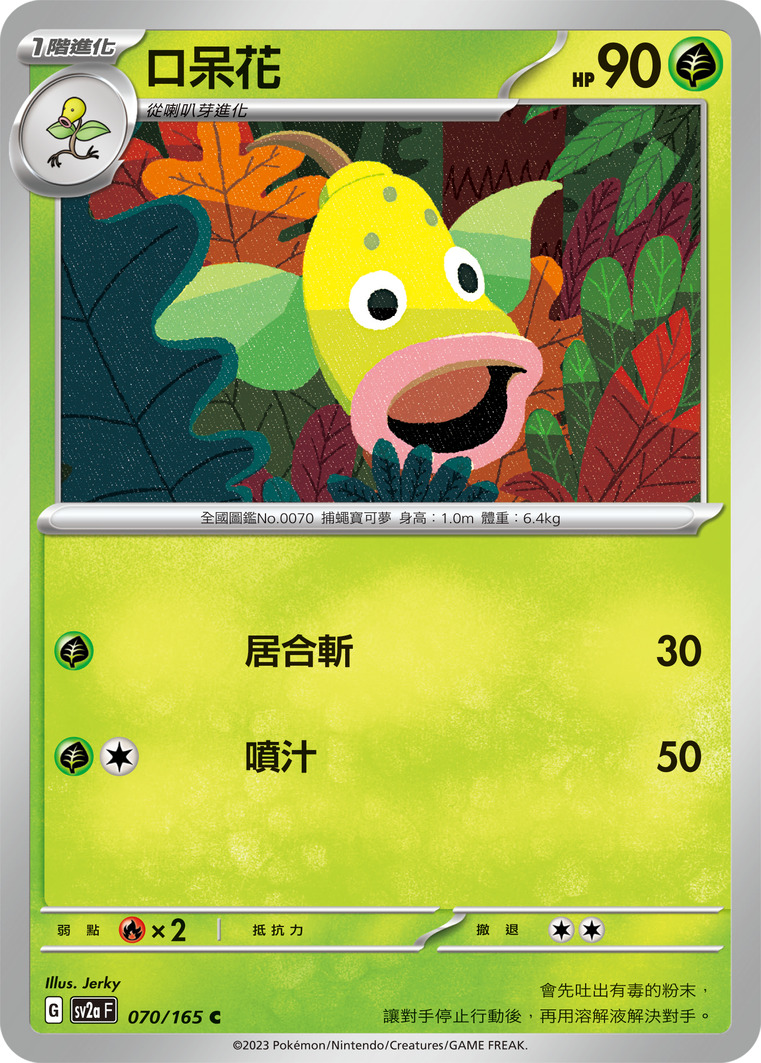 口呆花