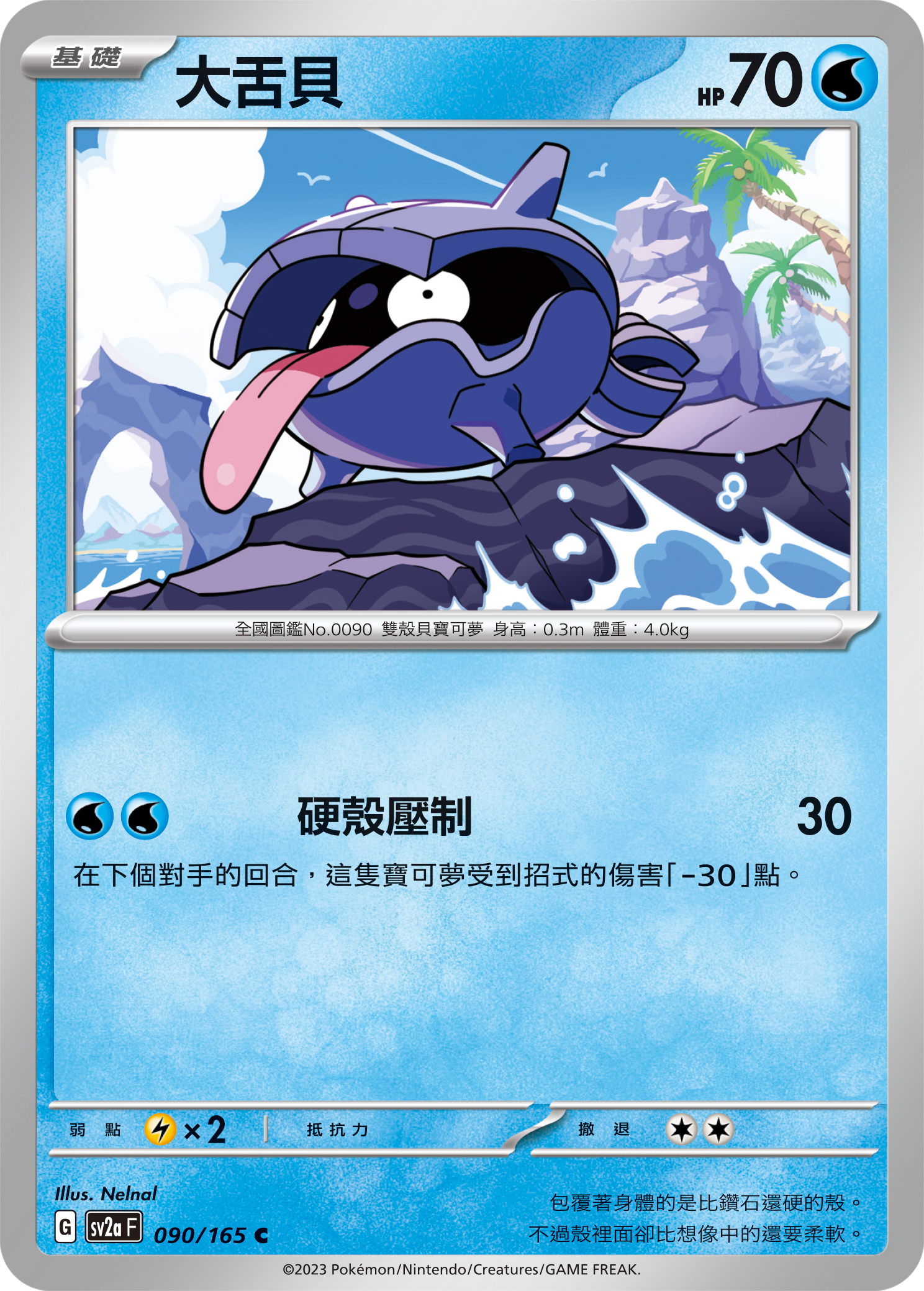大舌贝