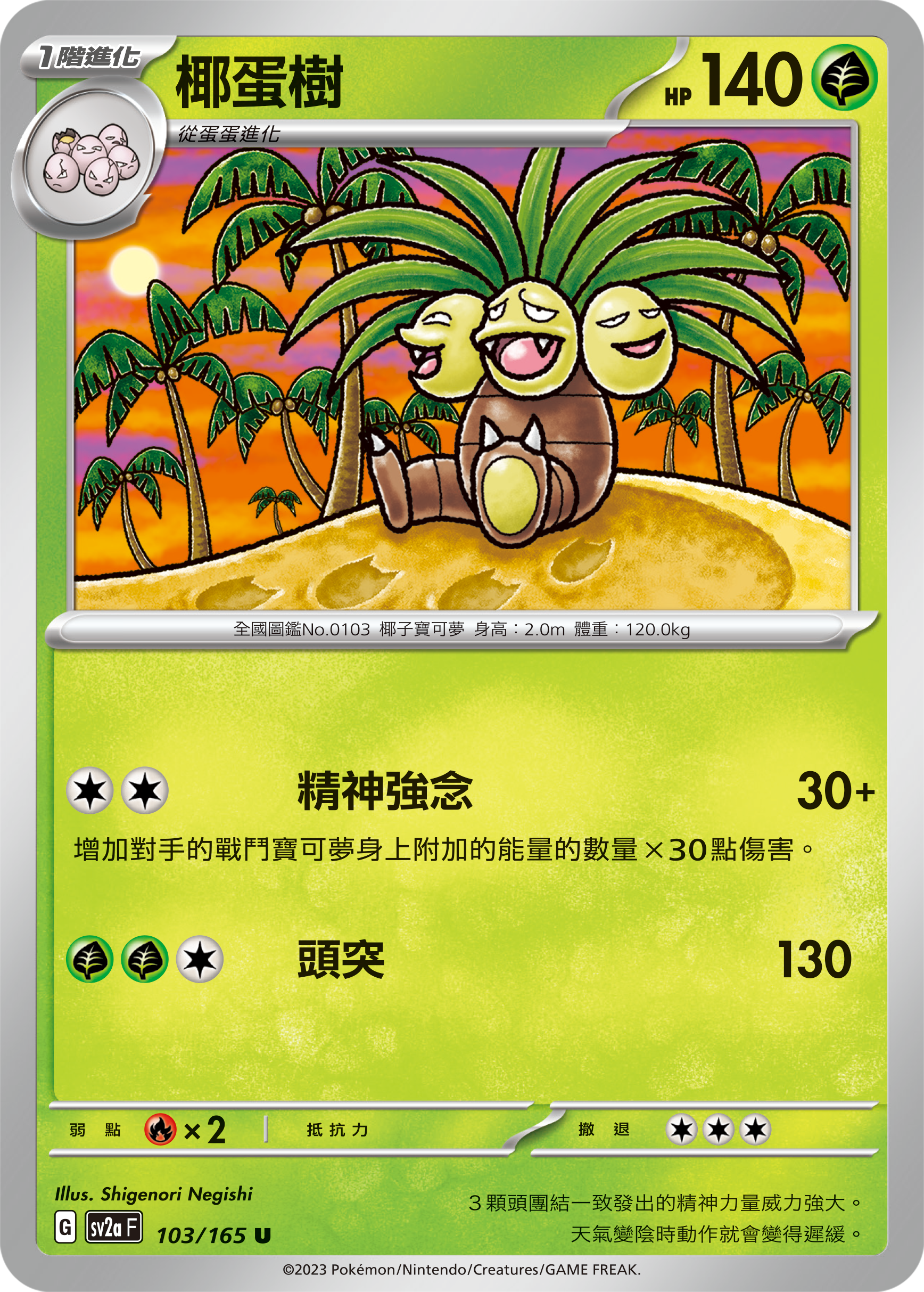 椰蛋树