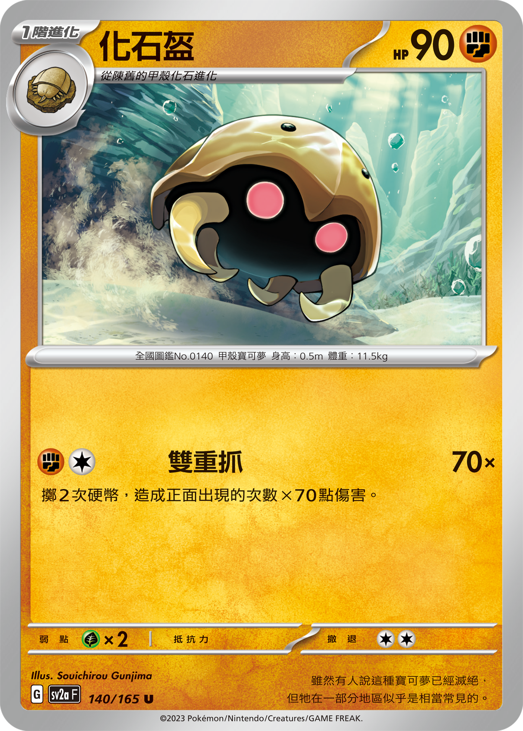 化石盔