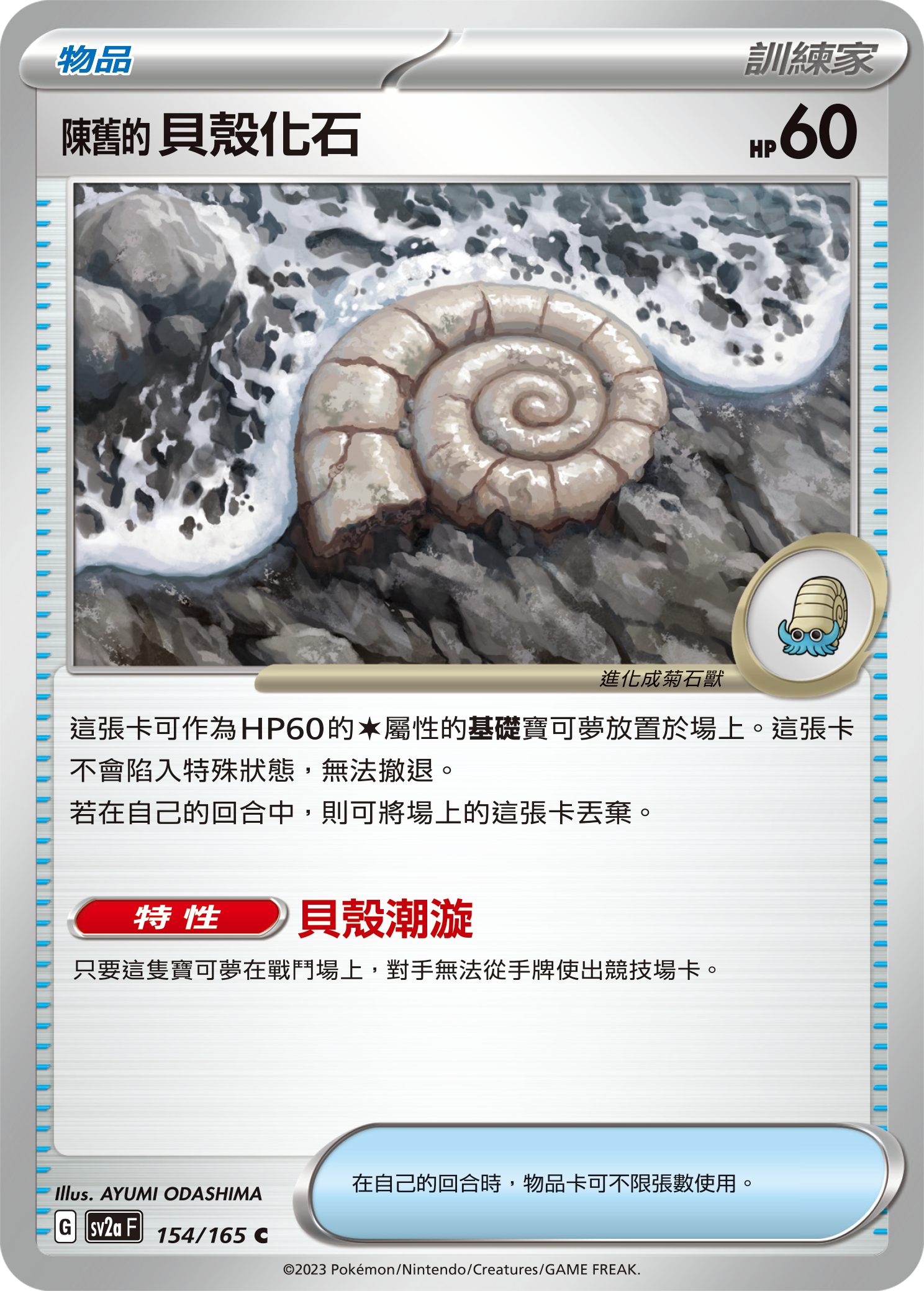 陈旧的贝壳化石