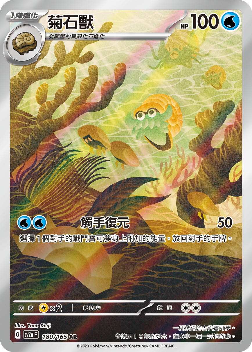 菊石兽