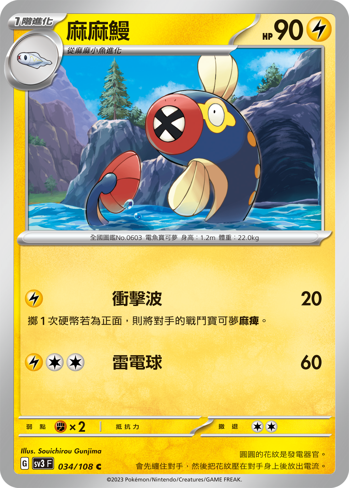 麻麻鳗