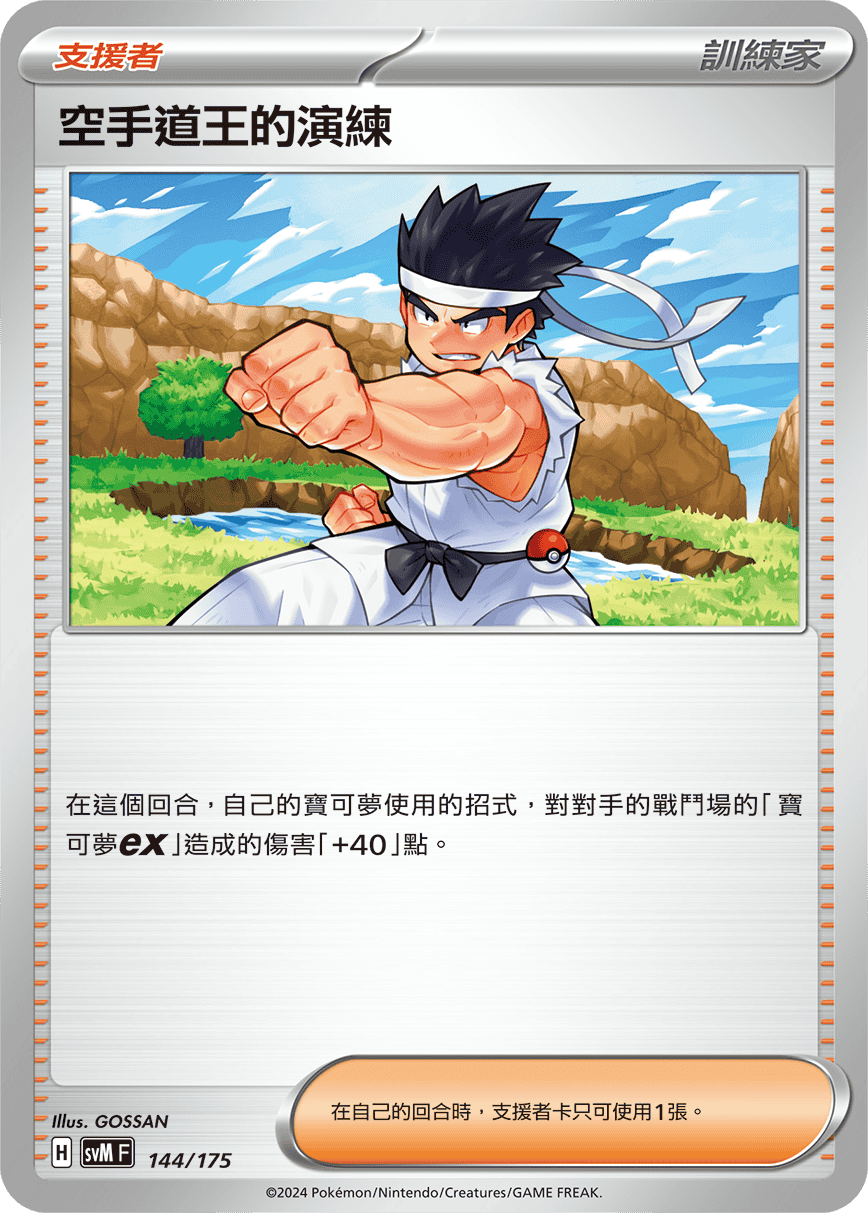 空手道王的演练