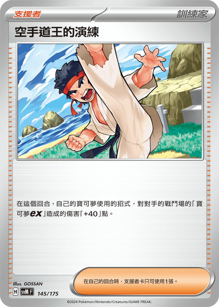 空手道王的演练