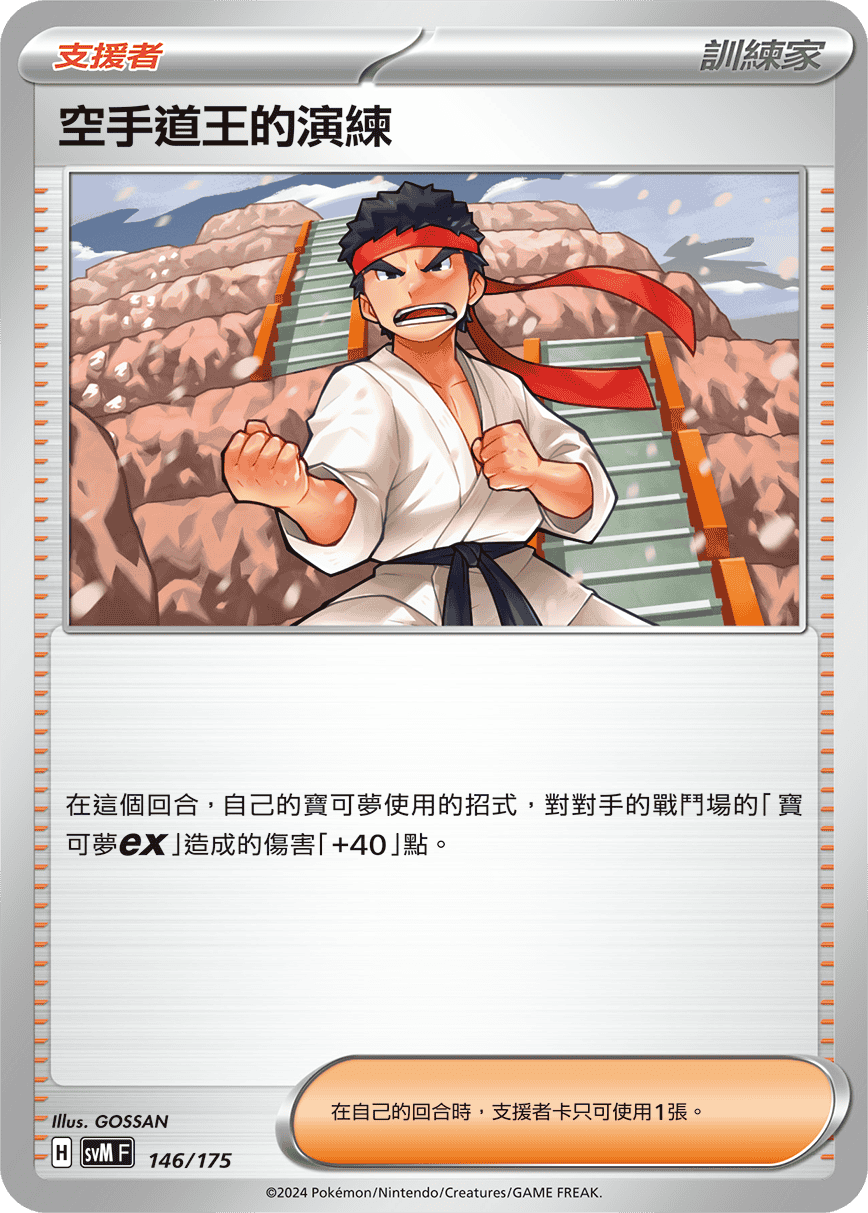 空手道王的演练