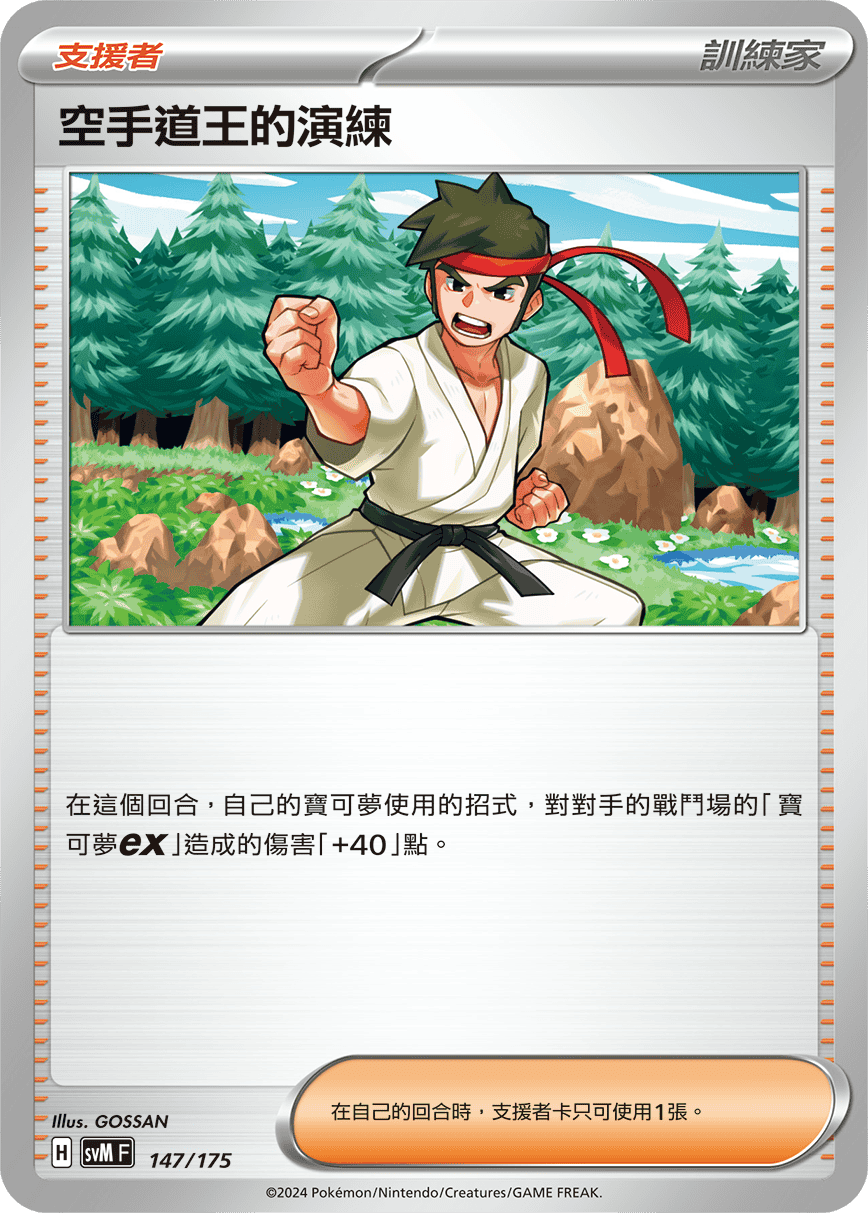 空手道王的演练