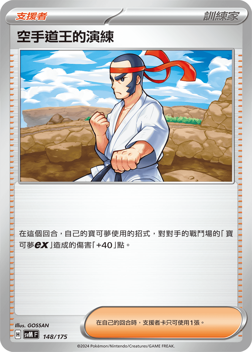 空手道王的演练