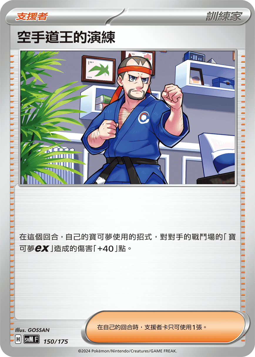 空手道王的演练