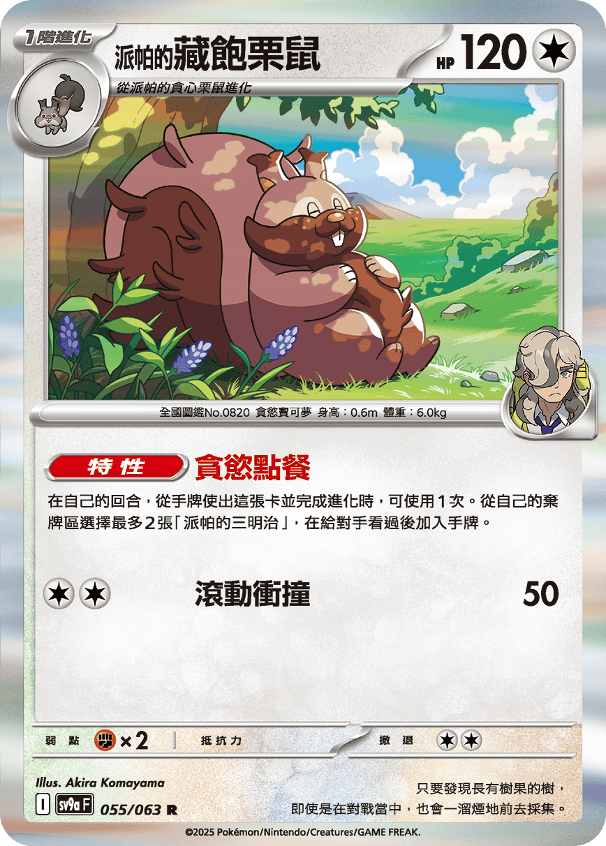 <派帕的>藏饱栗鼠