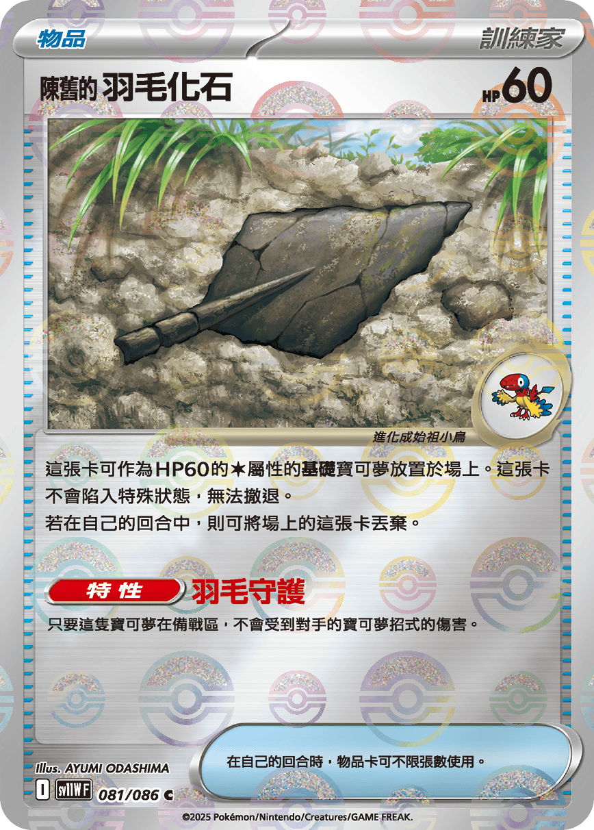 陈旧的羽毛化石