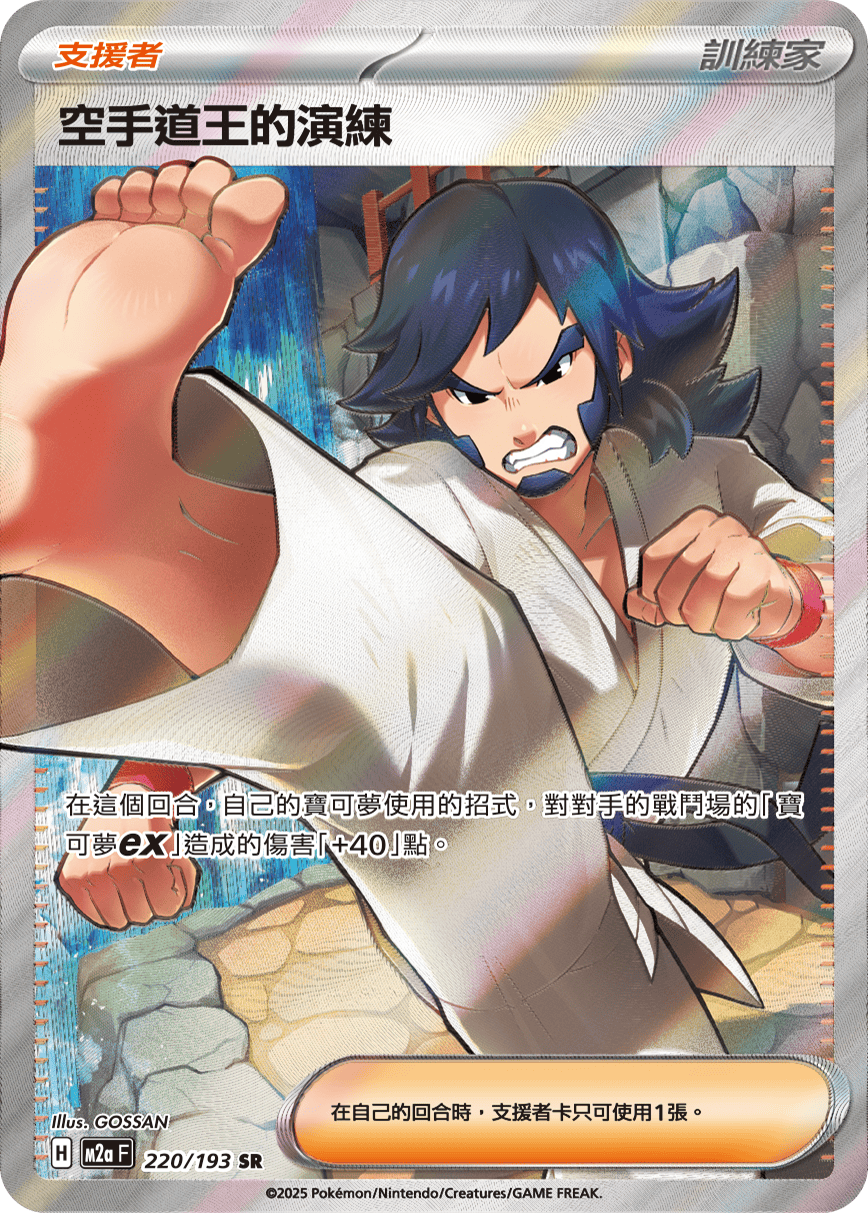 空手道王的演练