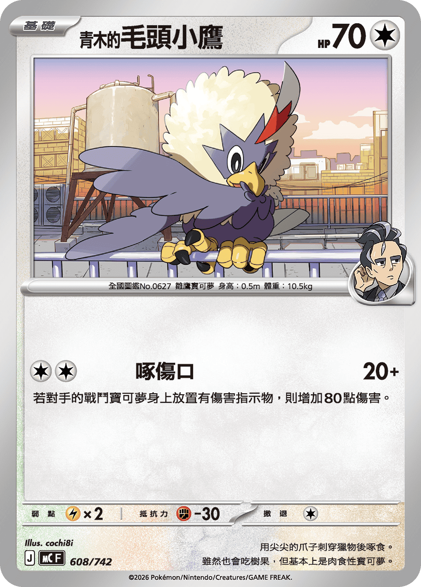 青木的毛头小鹰