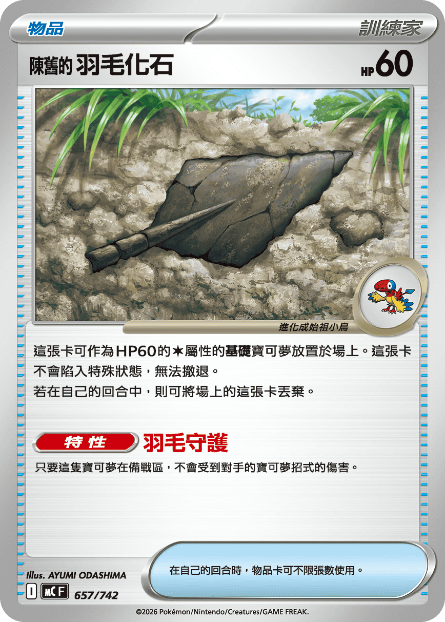 陈旧的羽毛化石